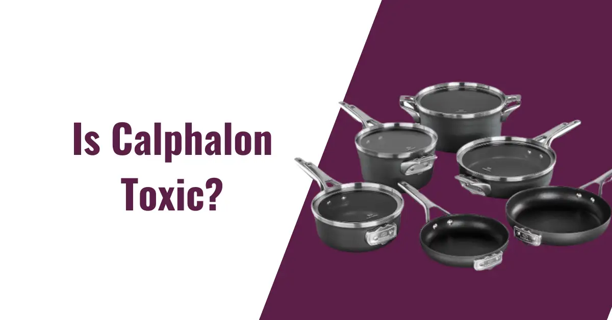 Is Calphalon Toxic