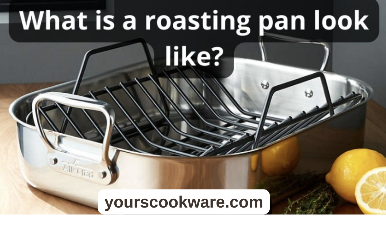 What is a roasting pan look like